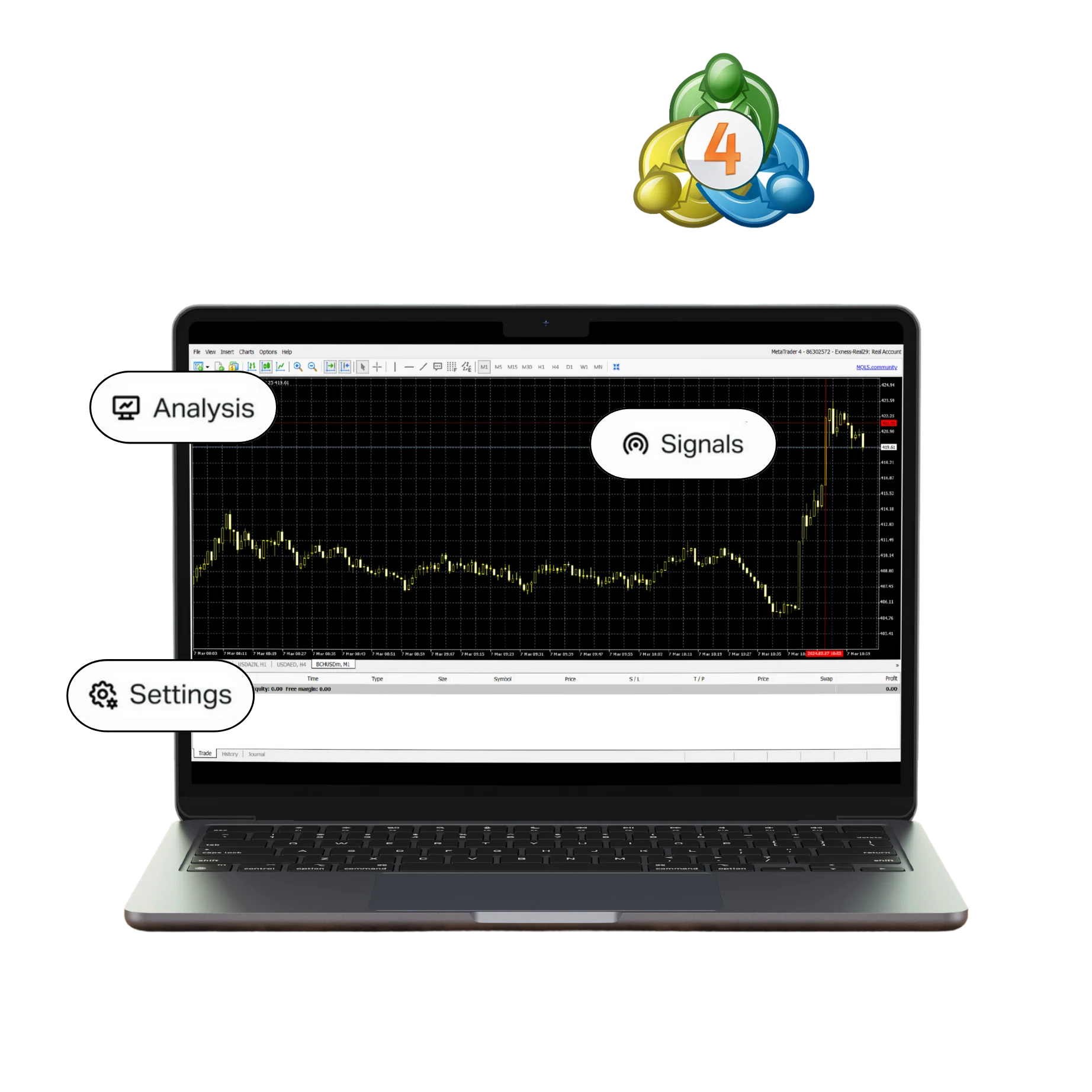 Exness MT4 Login Process